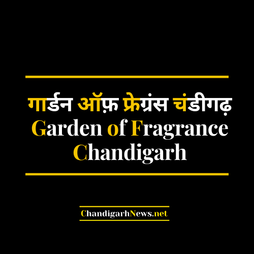 Garden of Fragrance Chandigarh