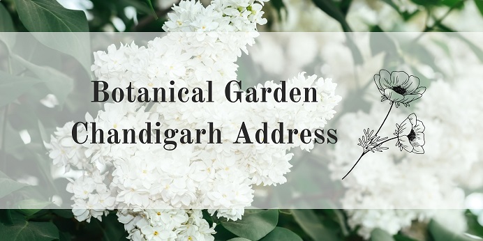 Botanical Garden Chandigarh Address