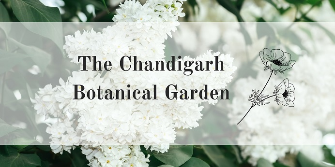 Chandigarh Botanical Garden