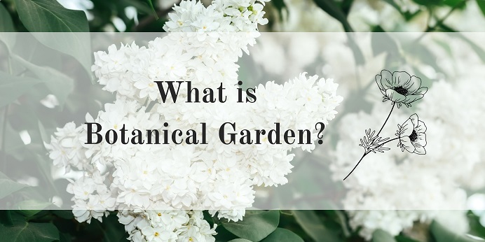 What is Botanical Garden