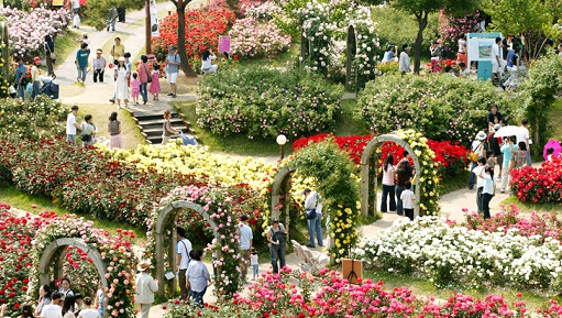 Chandigarh Flower Show