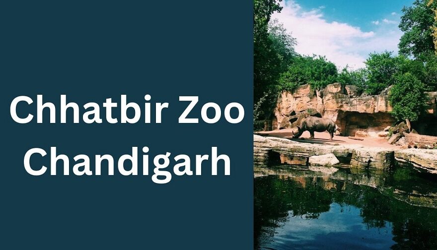 Chhatbir Zoo