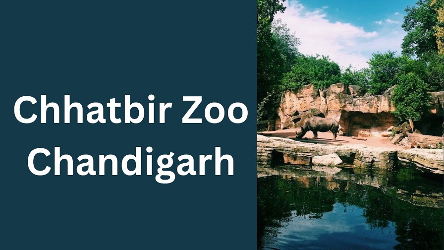 Chhatbir Zoo Chandigarh - छतबीड़ जू चंडीगढ़