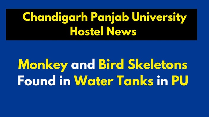 Chandigarh Panjab University Hostel News