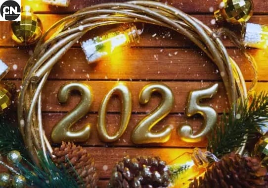 Happy New Year 2025 Quotes