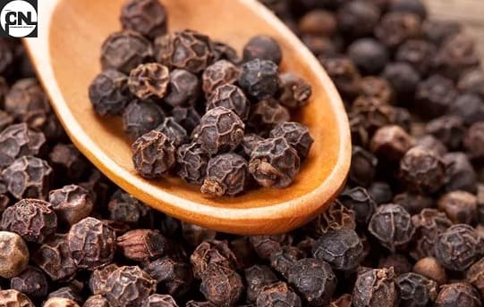 Pepper Benefits for Health