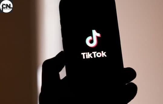 TikTok returns to Apple and Google App Store