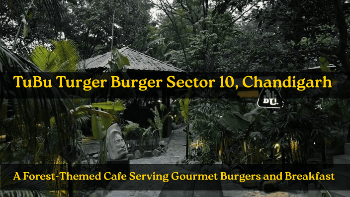 TuBu Turger Burger Sector 10, Chandigarh