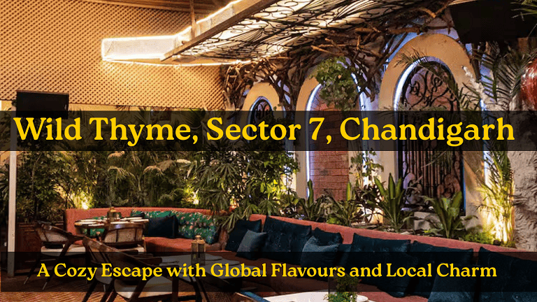 Wild Thyme Sector 7 Chandigarh