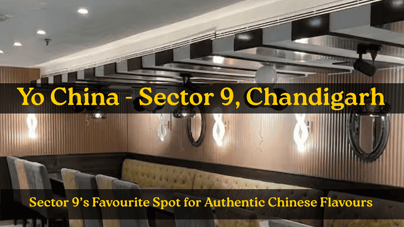 Yo China - Sector 9, Chandigarh