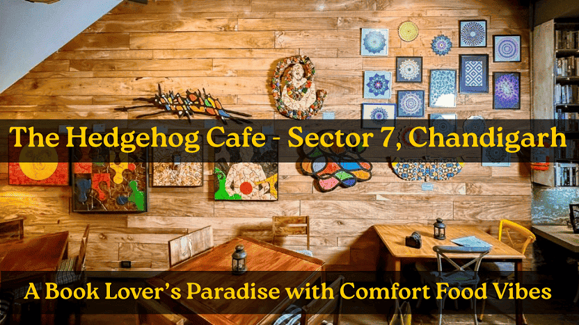 The Hedgehog Cafe - Sector 7, Chandigarh