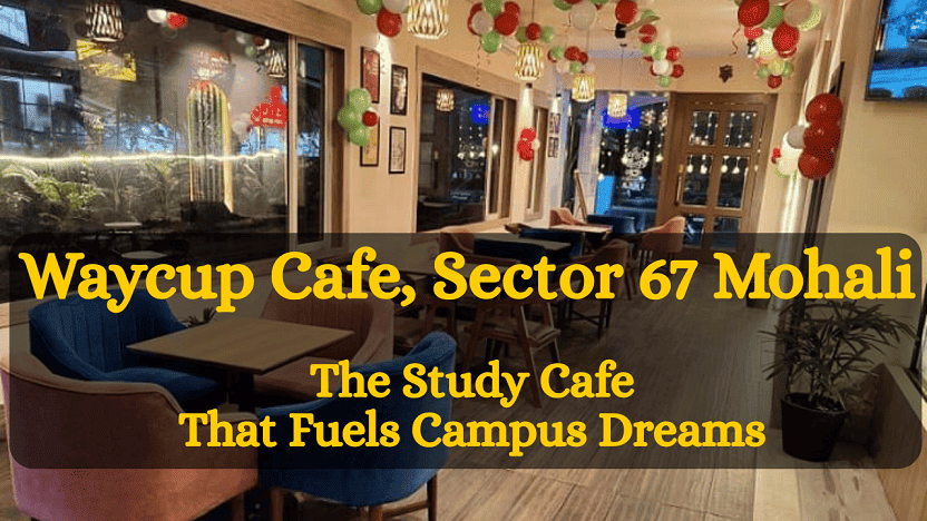 Waycup Cafe, Sector 67 Mohali